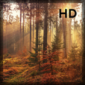 10000+ Free Nature HD Background Wallpapers 2021