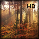 10000+ Free Nature HD Background Wallpapers 2021 APK