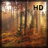 10000+ Free Nature HD Background Wallpapers 2021 icon