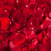 Red Wallpaper