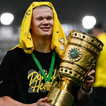 Erling Haaland 아이콘