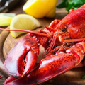 Lobster