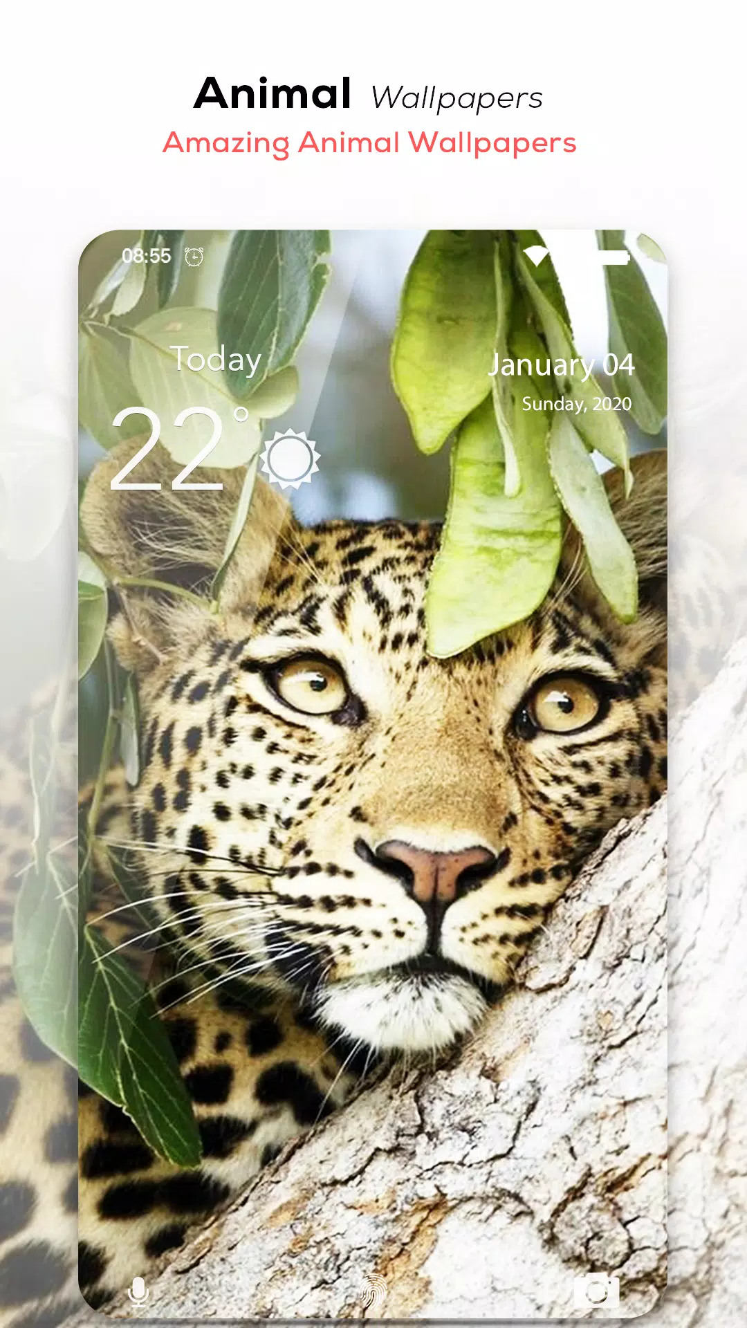 Animal Wallpapers APK for Android Download Animal Wallpapers APK for Android Download