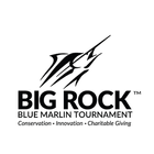 The Big Rock icône