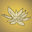 Black Lotus Tattoo Gallery 圖標