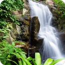 Nature & Landscape Wallpapers APK