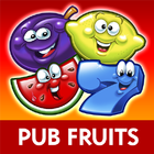 Reflex Gaming Pub Fruits आइकन