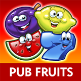 Reflex Gaming Pub Fruits icône