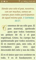 Reflexiones diarias ポスター