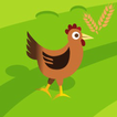 Chicken and Grain