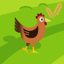 Chicken and Grain APK