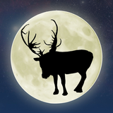 ReindeerCam LIVE! aplikacja
