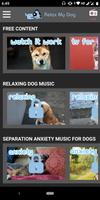 Relax My Dog - musique apaisan Affiche