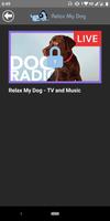 リラックスマイ・ドッグ - 癒しの音楽とテレビの犬 スクリーンショット 1