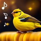 Relax Sleep Sounds: Bird Call icono