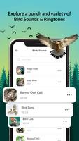 برنامه‌نما Relax Sleep Sounds: Bird Call عکس از صفحه