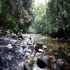 Agua relajante