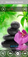 Relaxing Spa Music : Massage স্ক্রিনশট 3
