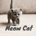 Meow Cat