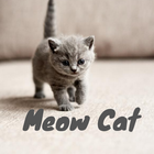 Meow Cat アイコン