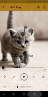 Meow Cat ポスター