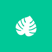 Relaxy Wellbeing 圖標