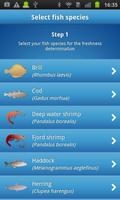 How fresh is your fish? 截图 1