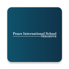 Student App-  Peace International School icône
