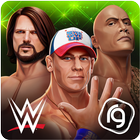 การทำร้ายร่างกาย WWE ไอคอน