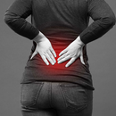 low back pain exercise APK