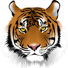 Zoo Tiger VR Cardboard Test icône