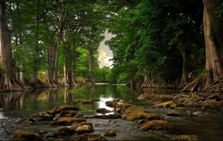 beautiful landscape screenshot 3