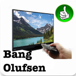 Best TV Remote For Bang Olufsen
