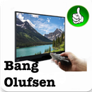 Best TV Remote For Bang Olufsen APK