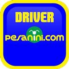 Driver Pesanini icon