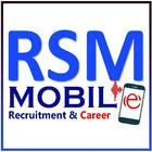 RSM Consultant icône