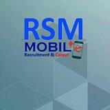RSM Consultant icône