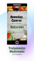 Remedios Caseros Poster