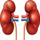 Insuficiencia Renal APK