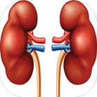 Insuficiencia Renal أيقونة