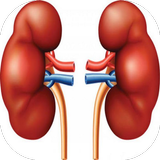 Insuficiencia Renal أيقونة