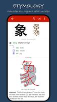 Chinese Deciphered Affiche