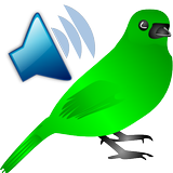 Birds Calls Sounds icon