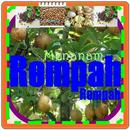 Menanam Rempah Rempah-APK