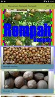 Menanam Rempah Rempah poster