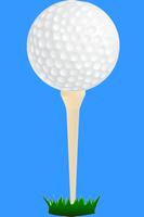 Golf Scorecard 截圖 2