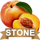 Renal Gall Bladder Stone Diet APK