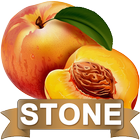 Renal Gall Bladder Stone Diet-icoon
