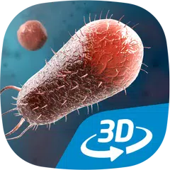 Descargar APK de Bacterias en 3D educativo