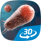 Bacteria interactive educational VR 3D آئیکن